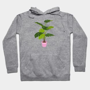 Potted Monstera Plant Pink Hoodie